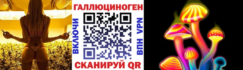 Псилоцибиновые грибы Cubensis  Егорьевск 
